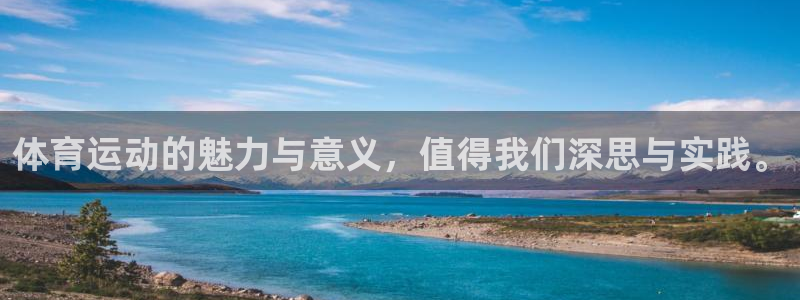 vsport体育官网下载平台是正规平台吗:体育运动的魅力与意